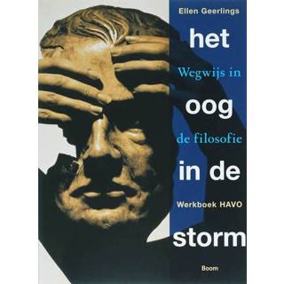 👉 Het oog in de storm - E. Geerlings (ISBN: 9789085062868) 9789085062868