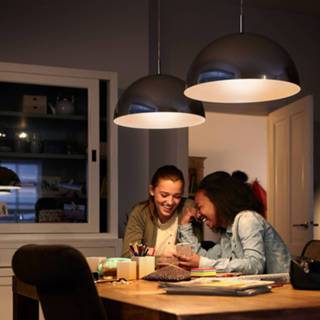 👉 Ledlamp a+ warmwit E27 A19 dag/nacht-sensor 7,5 W, 2.700 K