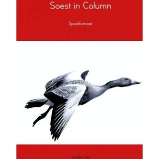 👉 Soest in column - Sander Loos (ISBN: 9789402104288) 9789402104288