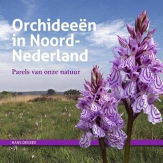👉 Orchidee Orchideeën in Noord-Nederland - Hans Dekker (ISBN: 9789023254850) 9789023254850