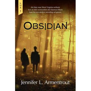 👉 Obsidian - Jennifer L. Armentrout (ISBN: 9789401913713) 9789401913713