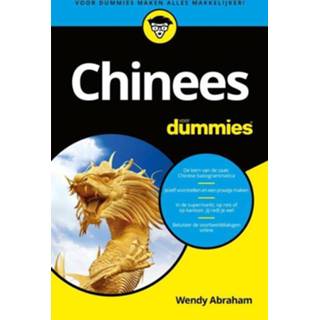 👉 Chinees voor Dummies - Wendy Abraham (ISBN: 9789045355016) 9789045355016