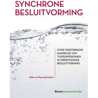 👉 Synchrone besluitvorming - Jitske Popering-Verkerk ebook 9789462747630