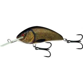 👉 Bruin Salmo Hornet Floating - Supernatural Tench Plug 9cm 5903068198021