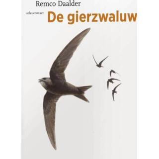 👉 De gierzwaluw - Remco Daalder (ISBN: 9789045026299) 9789045026299