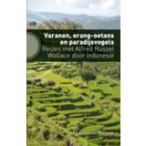 👉 Varanen, orang-oetans en paradijsvogels - Alexander Reeuwijk (ISBN: 9789492190765) 9789492190765
