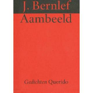 Aambeeld - J. Bernlef (ISBN: 9789021448237) 9789021448237