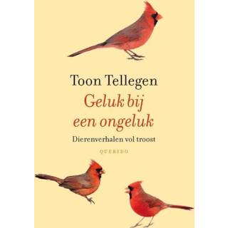 👉 Geluk bij een ongeluk - Toon Tellegen (ISBN: 9789021455259) 9789021455259