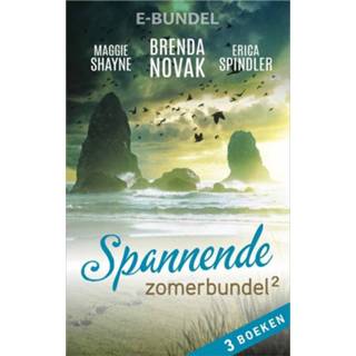 👉 Spannende zomerbundel 2 - Brenda Novak, Erica Spindler, Maggie Shayne (ISBN: 9789402535693) 9789402535693