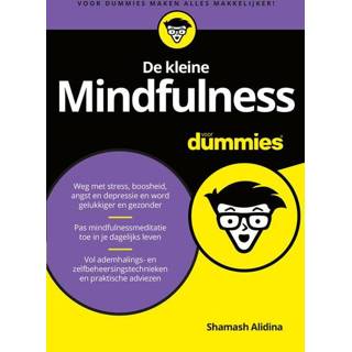 De kleine Mindfulness voor Dummies - Shamash Alidina (ISBN: 9789045355160) 9789045355160