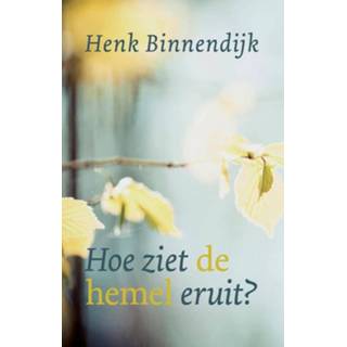 👉 Hemeltje Hoe ziet de hemel eruit? 9789043532129