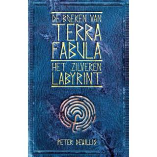 👉 Zilveren Het labyrint - Peter Dewillis (ISBN: 9789463082228) 9789463082228