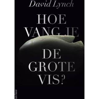 👉 Grote vis Hoe vang je de vis? - David Lynch (ISBN: 9789025907105) 9789025907105