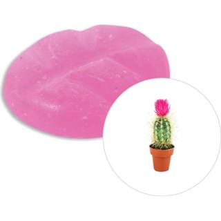 👉 Cactusbloem Geurchips ScentChips