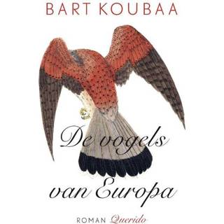 De vogels van Europa - Bart Koubaa (ISBN: 9789021456041) 9789021456041