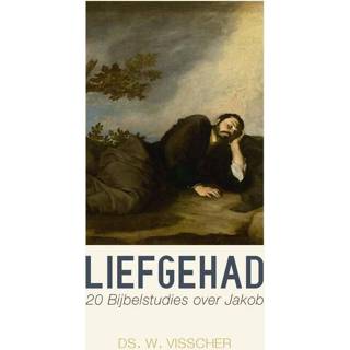 Liefgehad - W. Visscher ebook 9789402903416