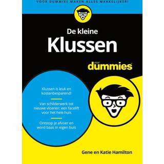 De kleine klussen voor Dummies - Gene Hamilton, Katie Hamilton ebook 9789045352961