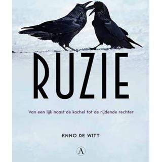 Ruzie - Enno de Witt (ISBN: 9789025308360) 9789025308360