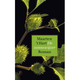 👉 Zonnewijzer De - Maarten 't Hart (ISBN: 9789029576819) 9789029576819