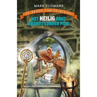 👉 Heilig hout Het brandt zonder pijn - Tijsmans Mark (ISBN: 9789462345591) 9789462345591