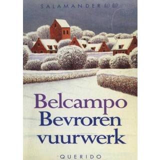 👉 Bevroren vuurwerk - (ISBN: 9789021448039) 9789021448039