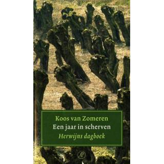 👉 Een jaar in scherven - Koos van Zomeren (ISBN: 9789029585521) 9789029585521