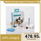 👉 Mini garden Set for creating a 