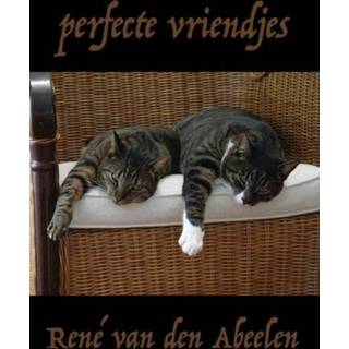 👉 Perfecte vriendjes - René van den Abeelen (ISBN: 9789402126198) 9789402126198