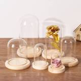 👉 Terrarium Parts Glass cloche Jar Display Stand Cover Bottle with Wooden Base Box Immortal Flower