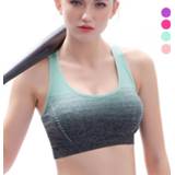 👉 JELLPE Gradient High Stretch Sports Bra for Women,Quick Dry Padded HBack Sports Top,Seamless Yoga Running Fitness Sport Bra Top