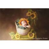 👉 Vintage lamp small baby's Newborn Photography Baby Photo Phooting Prop Artificial flower Props Studio Accessories Retro Mini Decoration