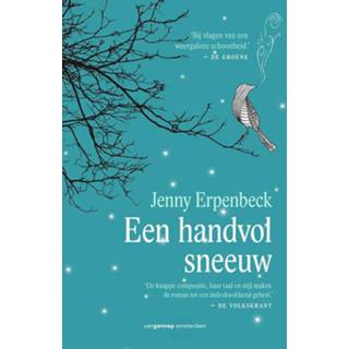 👉 Een handvol sneeuw - Jenny Erpenbeck (ISBN: 9789055159901) 9789055159901