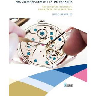👉 Procesmanagement in de praktijk - Hugo Hendriks ebook 9789491743832