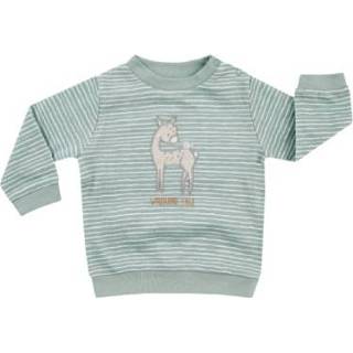 Sweatshirt babymode meisjes groen JACKY WOODLAND TALE pistache/streepjes 4001742874900