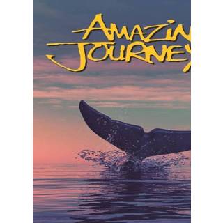 👉 Movie (Import) - Amazing Journeys 818506028387