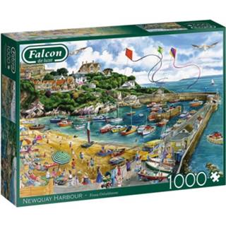 👉 Puzzel Newquay Harbour 1000 Stukjes 8710126112908