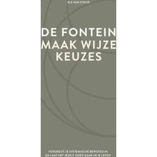 👉 Fontein De fontein, maak wijze keuzes. Vergroot je systemische bewustzijn en laat het jezelf goed gaan in leven, Steijn, Els van, Hardcover 9789083104140