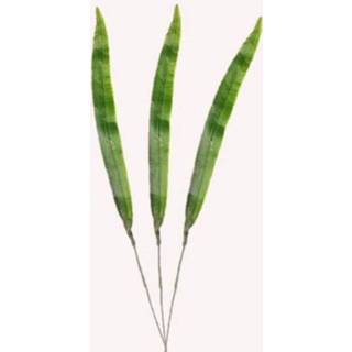 👉 Groene 3x stuks Galioolblad plant kunsttakken 40 cm