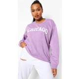 👉 Plus Chicago Sweater, Mauve