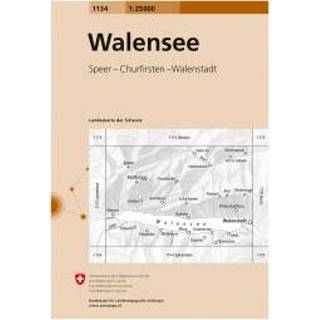 👉 Wandelkaart Swisstopo - 1134 Walensee Ausgabe 2010 9783302011349