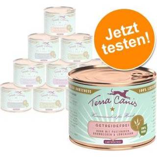 👉 Hondenvoer Terra Canis Graanvrij 12 x 200g - Mix, 6 Soorten