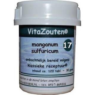 👉 Mannen Vitazouten Manganum sulfuricum VitaZout Nr. 17 120 tabletten 8718885281170
