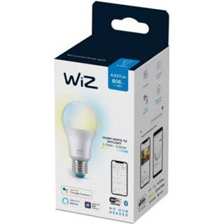 👉 Male WiZ LED lamp warm en koelwit 60W E27 8718699787035