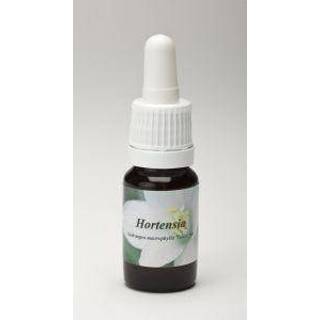 👉 Hortensia Star Remedies 10 ml 8717624991141