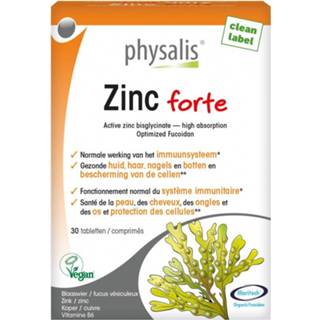 👉 Zinc forte Physalis 30 tabletten 5412360017256