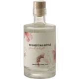 👉 Dranken No Ghost In a bottle floral delight 375 ml 5430000247368