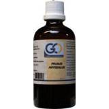 👉 Prunu prunus amygdalus GO 100 ml 8717473082038