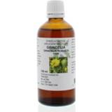 👉 Fytotherapie Natura Sanat Grindelia robusta herba tinctuur 100 ml 8713589006739