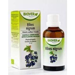 Ribes nigrum Biover 50 ml 5412141002402