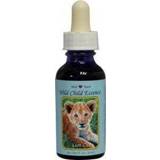 👉 Lion cub Animal Essences (leeuwenwelp) 30 ml 8717624994937
